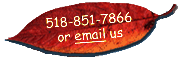 518-851-7866 or click to email. Also, click to see our work in our photo gallery