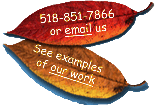email us
